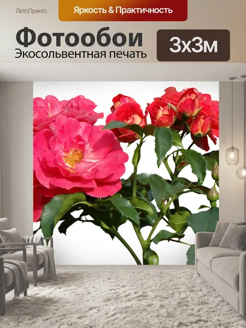 Фотообои Розы