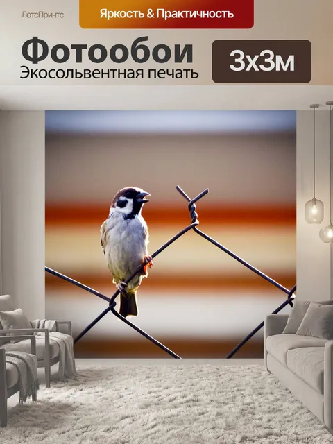Фотообои Воробей
