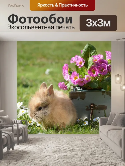Фотообои Кролики