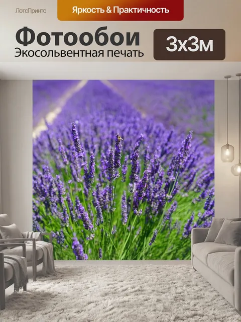 Фотообои Лаванда