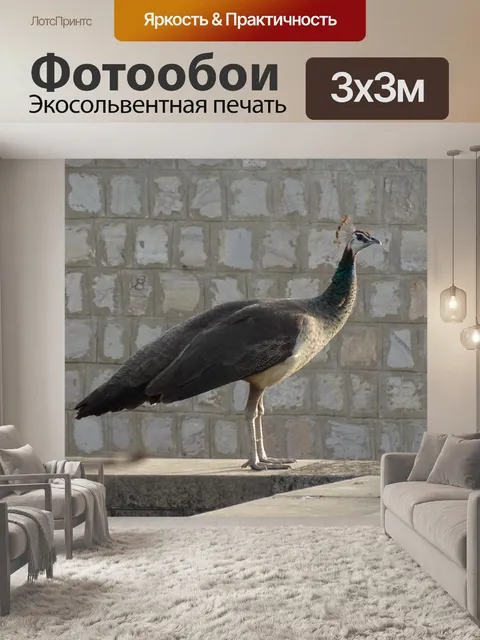 Фотообои Птица