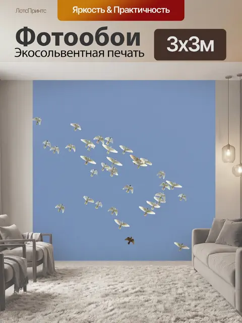 Фотообои Птицы