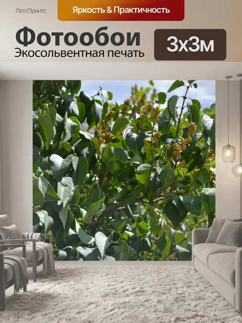 Фотообои Природа