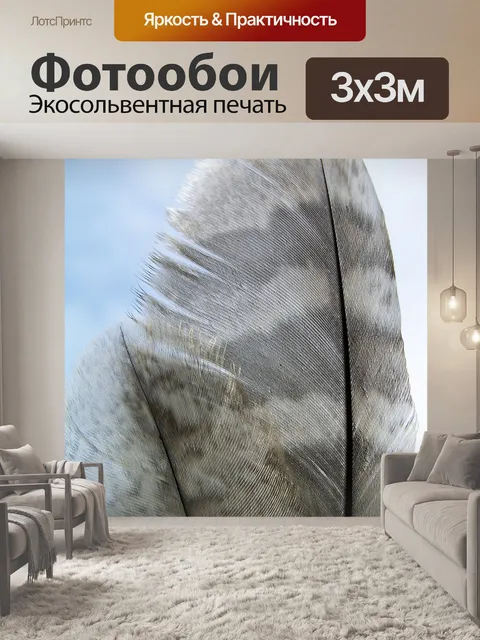 Фотообои Перо