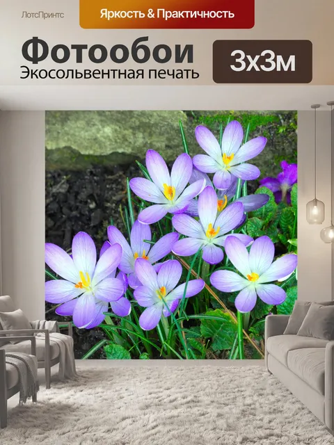 Фотообои Цветы