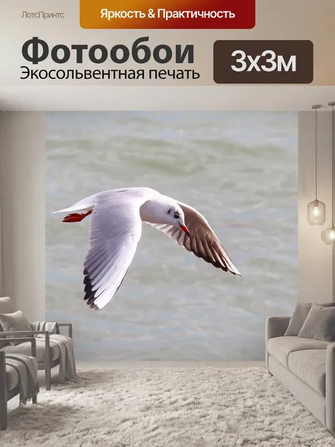 Фотообои Птица