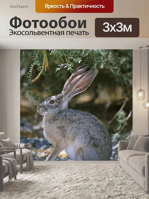 Фотообои Зайчик