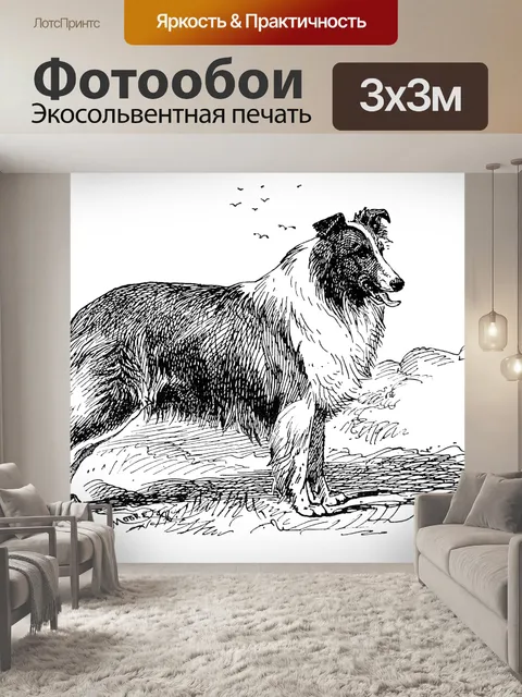 Фотообои Колли Собака Винтаж Иллюстрация