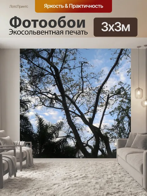 Фотообои Дерево
