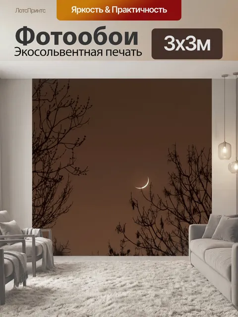 Фотообои Луна