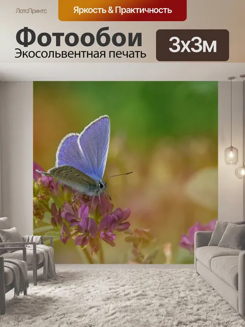 Фотообои Голубоватый