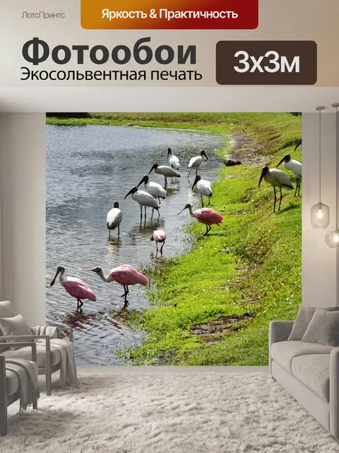 Фотообои Деревянный аист и колпица