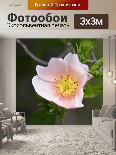 Фотообои Цветок