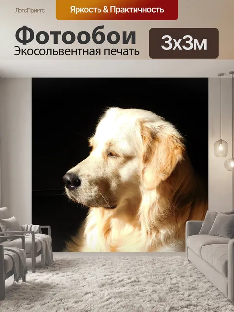 Фотообои Собака