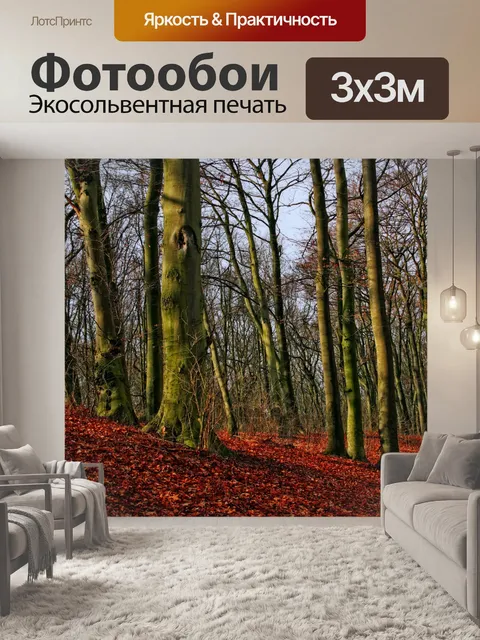 Фотообои Осенний лес деревья фото