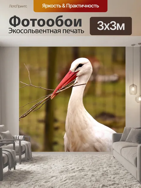 Фотообои Аист