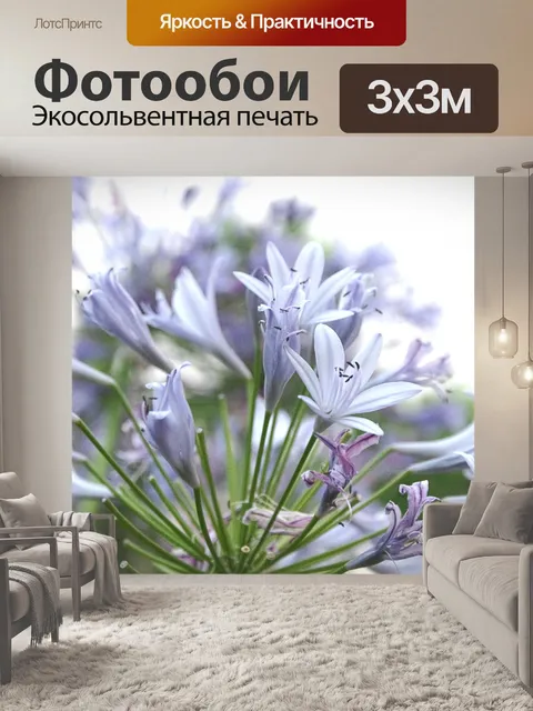 Фотообои Пурпурно-голубые лепестки Агапантуса