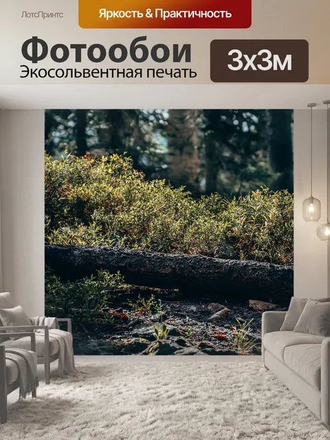 Фотообои Утро