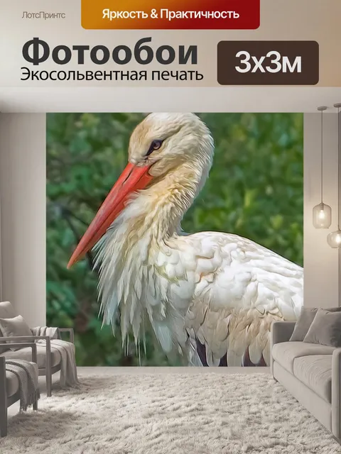 Фотообои Белый аист