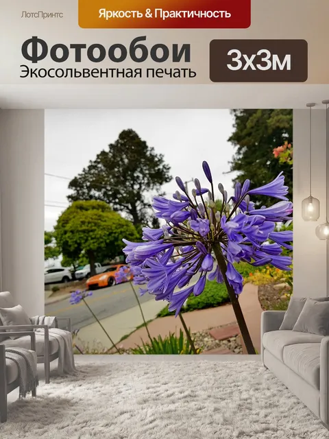 Фотообои Цветок