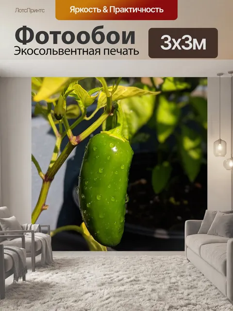 Фотообои Сад