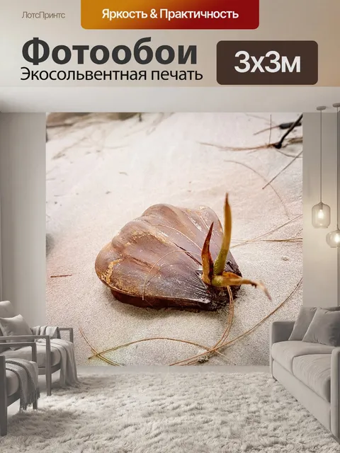 Фотообои Пляж
