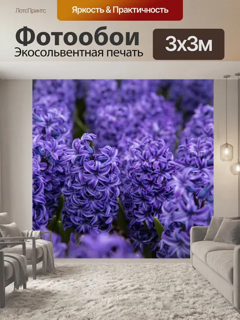 Фотообои гиацинт Цветы