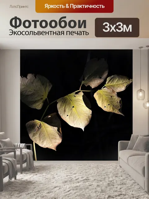 Фотообои Падение
