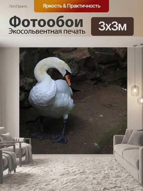 Фотообои белый лебедь стоит на мостовой