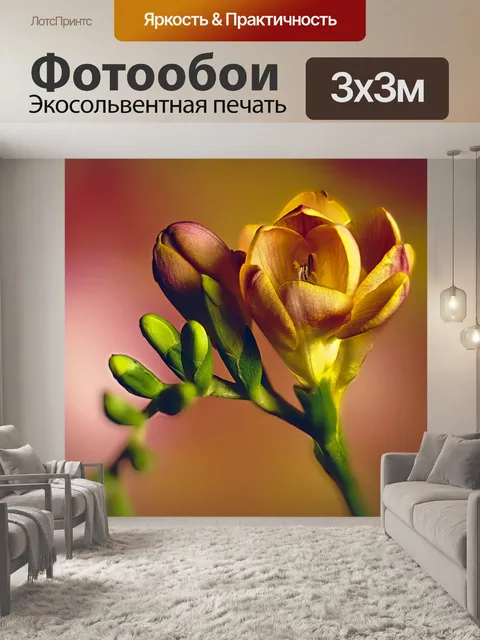 Фотообои Фрезия