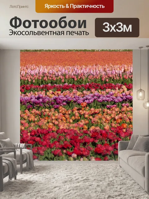 Фотообои Цвета
