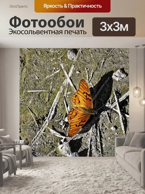 Фотообои Бабочки