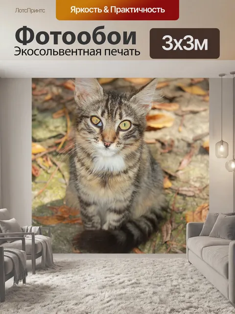 Фотообои Кошка