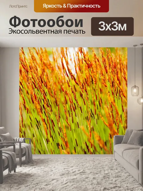 Фотообои Трава