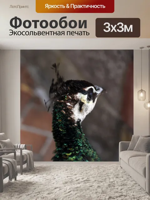 Фотообои Павлин