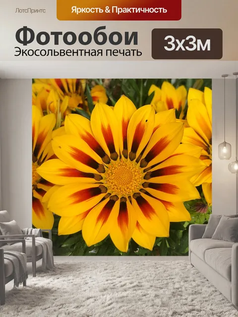 Фотообои Цветы
