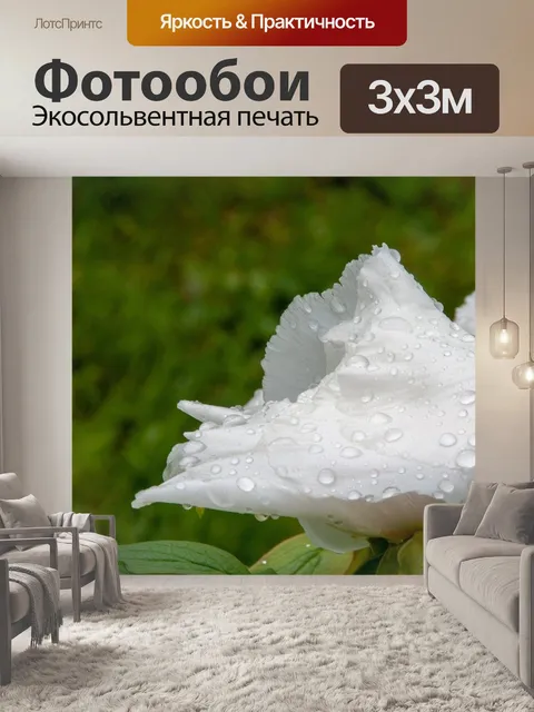 Фотообои Цветы