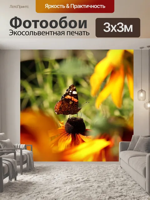 Фотообои Бабочка