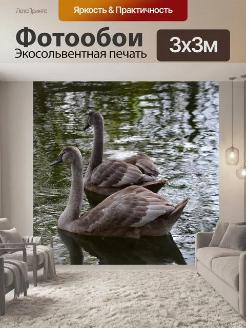Фотообои Животное