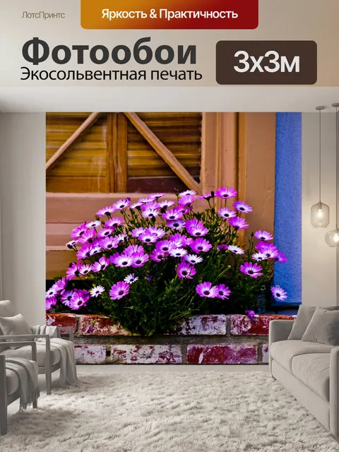 Фотообои Букет У окна