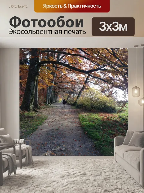 Фотообои Лес
