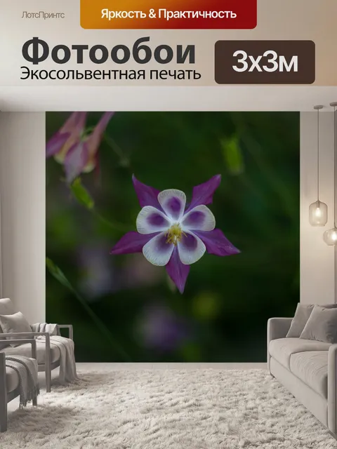 Фотообои Цветы