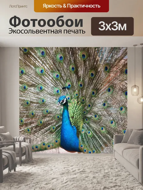 Фотообои Павлин