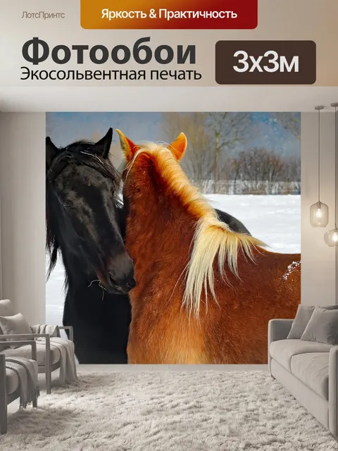 Фотообои Лошади
