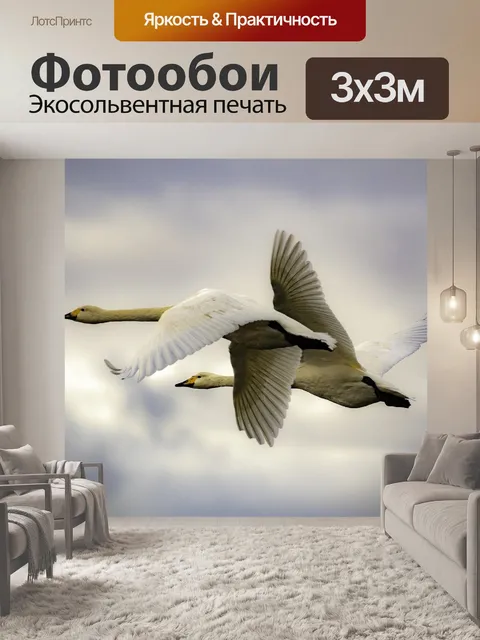 Фотообои Лебедь