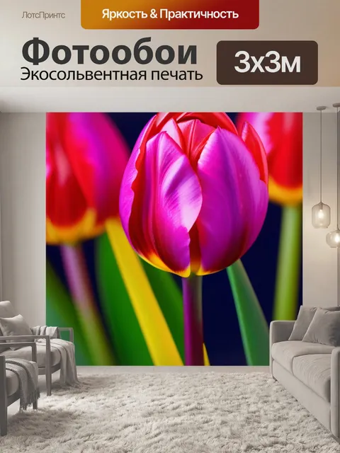 Фотообои тюльпаны на контрастном фоне