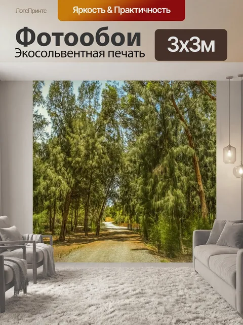 Фотообои Лес