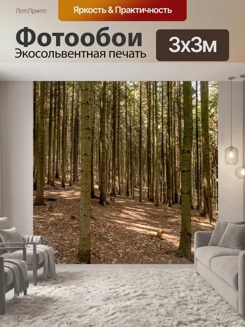 Фотообои Лес