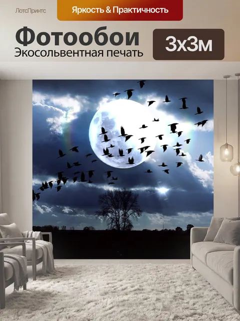 Фотообои Небеса