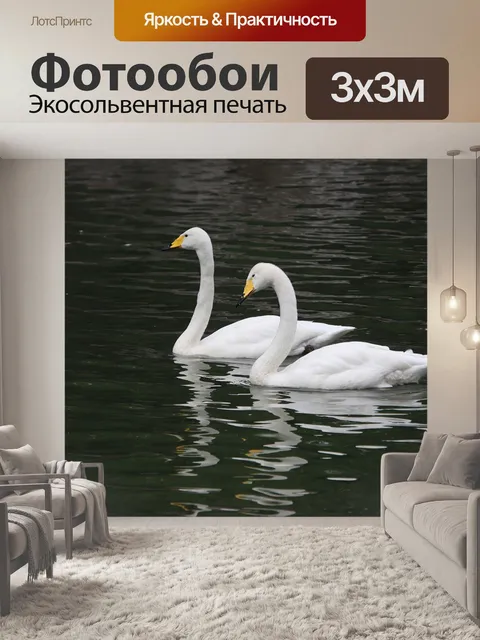 Фотообои Лебеди